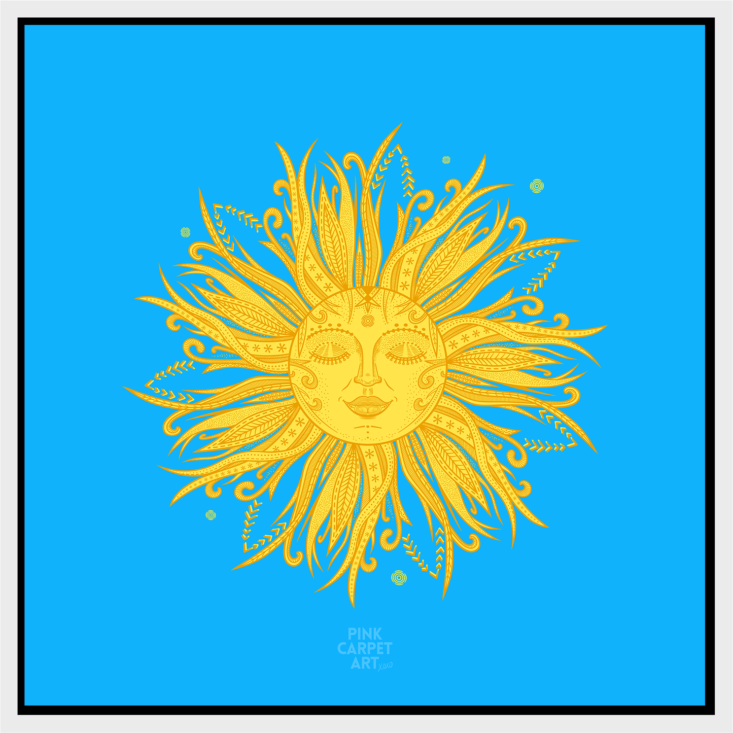 Covered in sunshine framed canvas