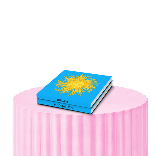 Covered in sunshine journal